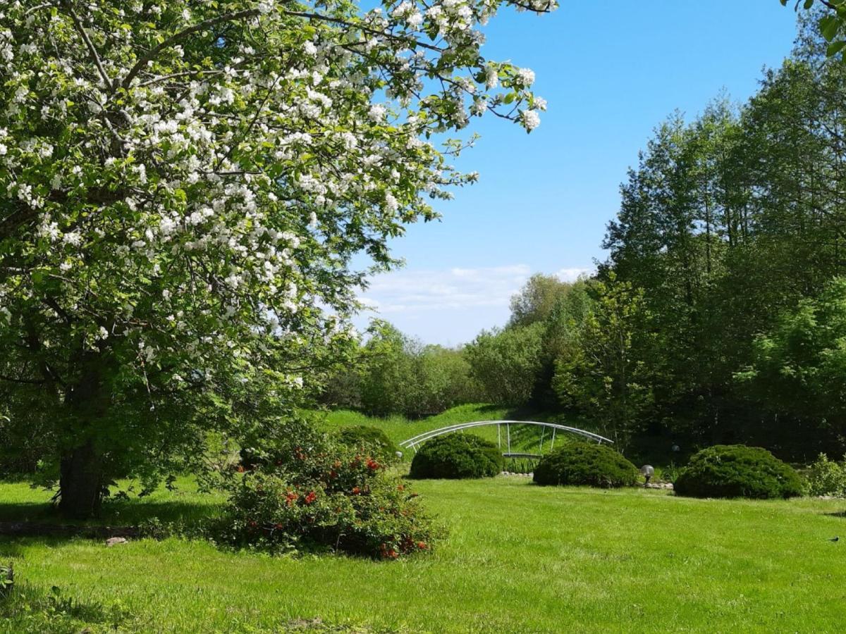 Willipu Guesthouse Alatskivi Zewnętrze zdjęcie